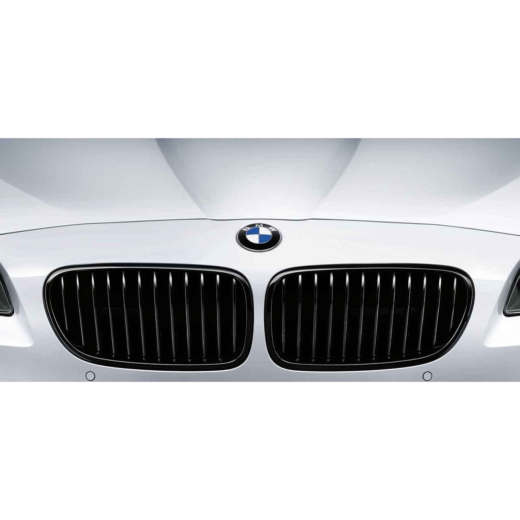 (B&amp;M精品)BMW 德國 原廠 M performance 水箱罩 水箱護罩F10 535 530 (預訂 不是售價）