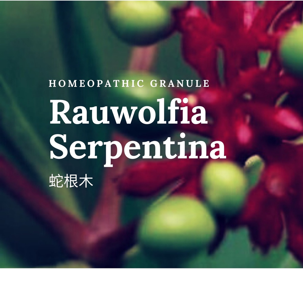 順勢糖球【蛇根木●Rauwolfia Serpentina】Homeopathic Granule（浮躁輕狂／心輪）