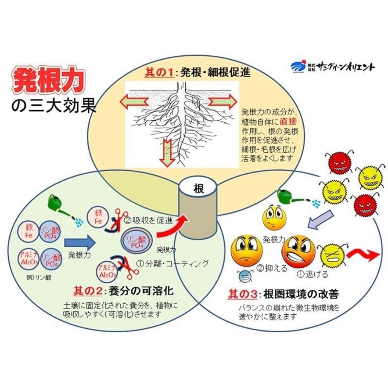 Hao Plants 日本發根力促進生根 防止根系老化 土壤活化 代購 蝦皮購物