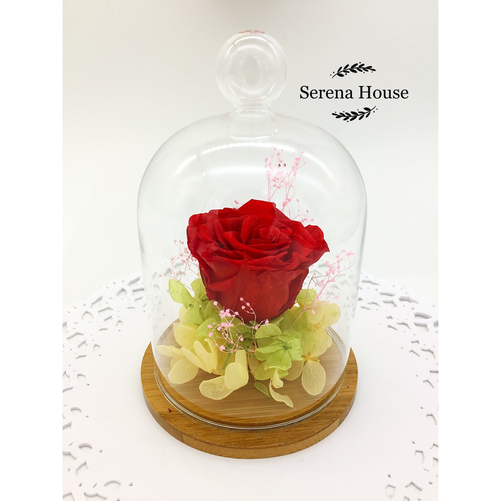 ~*Serena House~不凋花永生花美女與野獸 母親節禮物 紅玫瑰綠繡球不凋花玻璃罩 婚禮小禮生日禮物 特價599