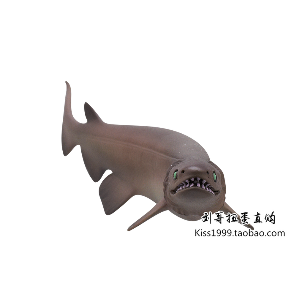 現貨正品轉蛋扭蛋 奇譚俱樂部ntc科普模型深海生物1彈轉蛋扭蛋 蝦皮購物