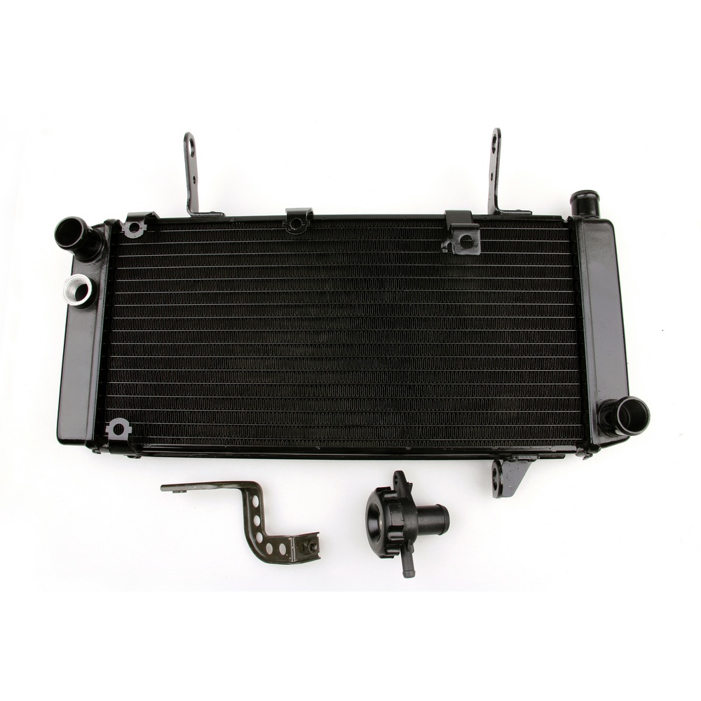 Suzuki SV1000 2003-2008 專用水箱散熱器-極限超快感