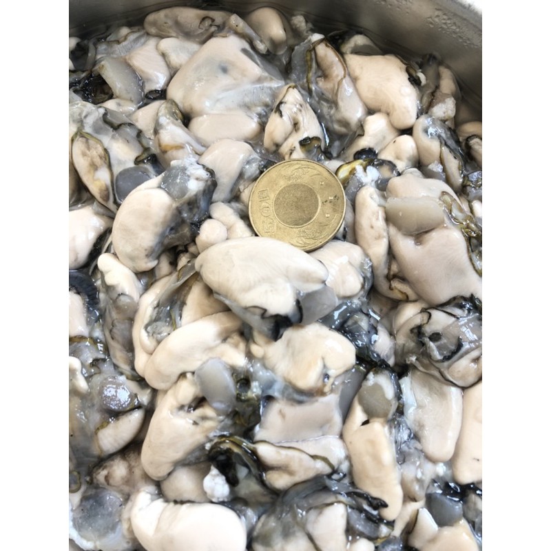 澎湖野生石蚵。野生牡蠣