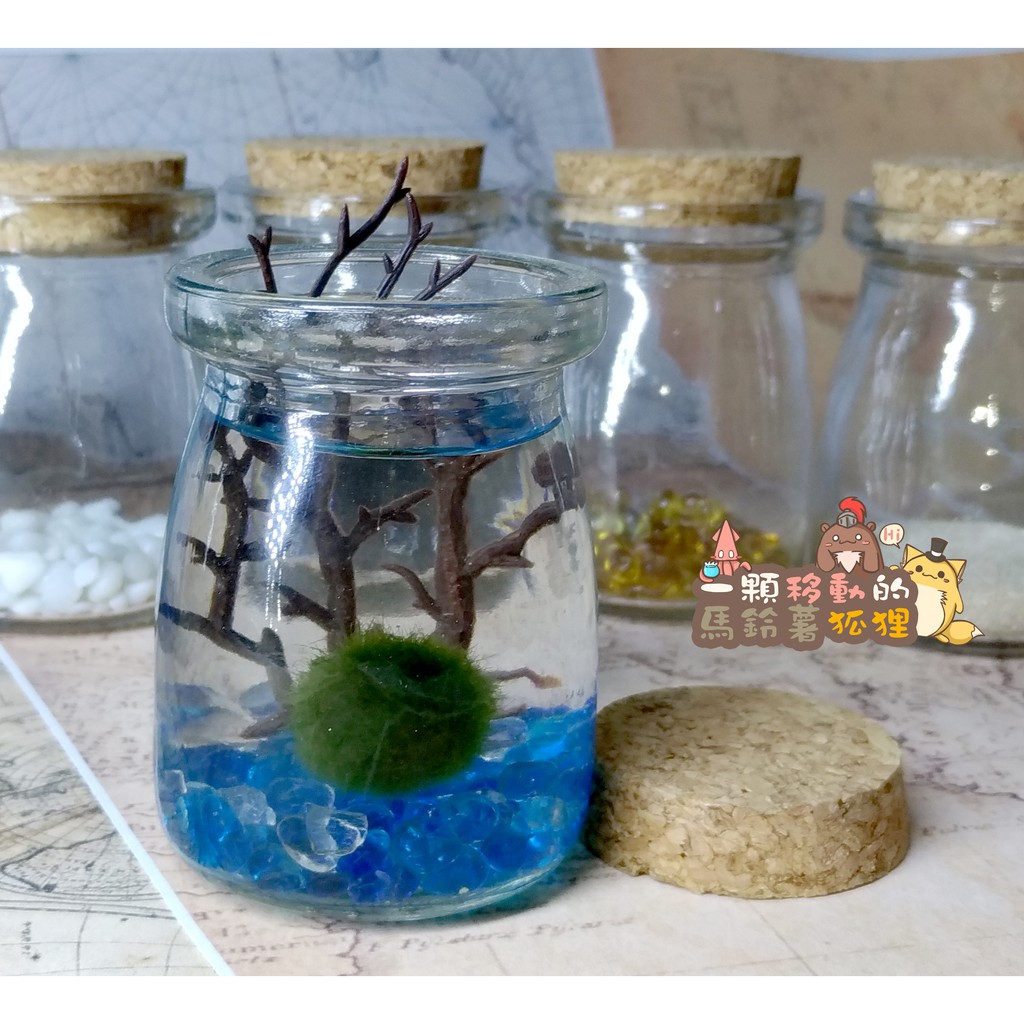 綠藻球+底沙+仿真海樹+保羅瓶 真水草 套裝組合