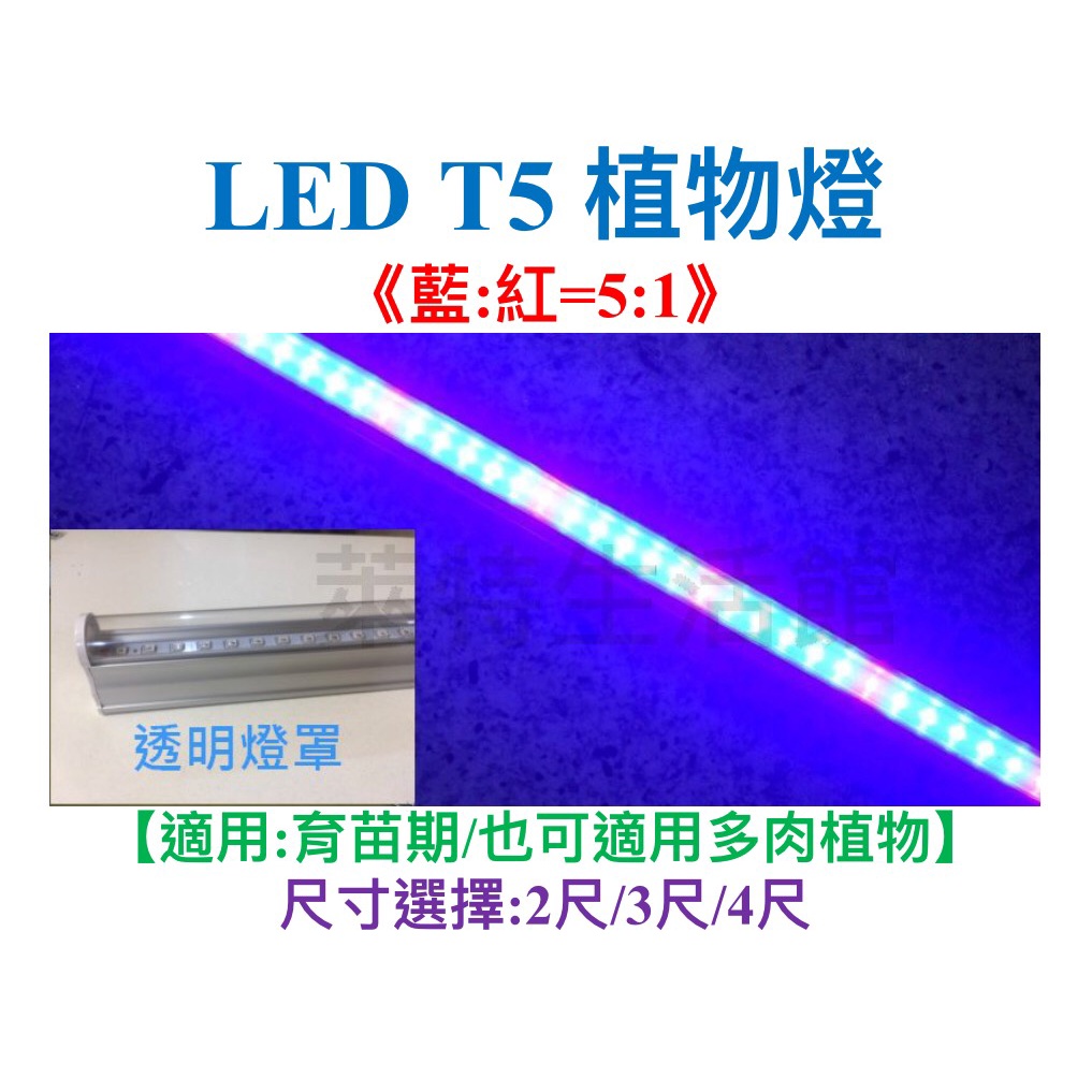《萊特生活館》LED T5 植物生長燈 【2尺/3尺/4尺】 【 藍(450m):紅(660nm)=5:1 多肉 補光