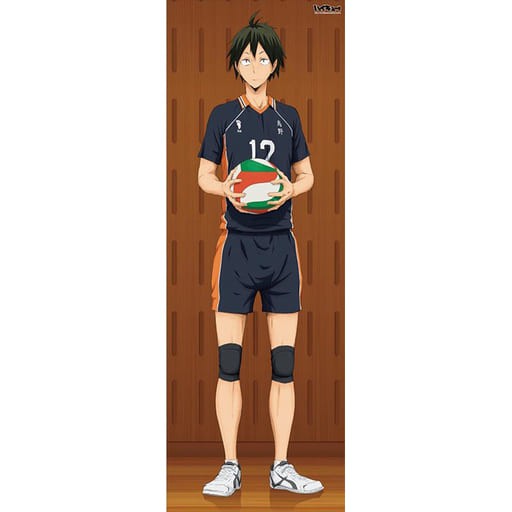 排球少年 現貨 山口忠ensky 等身掛軸 ハイキュー Hq 正版 日版 蝦皮購物