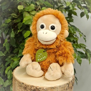 現貨🌸日本 Potte 猩猩 沙包玩偶 紅毛猩猩 仿真 娃娃 拍照 療癒 交換禮物