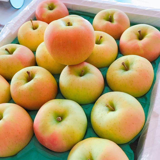 Toki水蜜桃蘋果 日本青森 超稀有トキ品種 大顆等級日本青森原裝進口 32 蝦皮購物