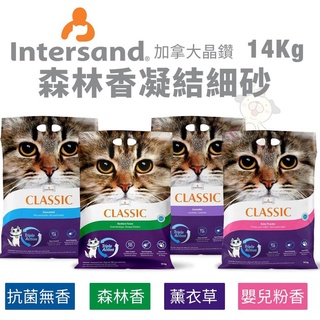 【現貨 單包免運送肉泥】Intersand晶鑽 森林香凝結細砂14Kg 嬰兒香/抗菌無香/薰衣草/森林香 貓砂＊