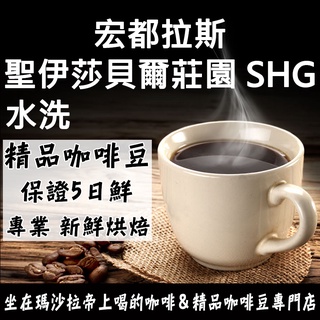 宏都拉斯 聖伊莎貝爾莊園／夜鷹莊園 半磅《精品咖啡豆×接單新鮮現烘》新鮮不貴 探索美味莊園豆 精品豆 單品咖啡 莊園