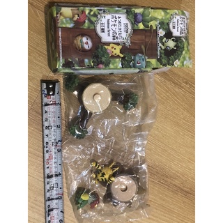 無證 盒玩 寶可夢 神奇寶貝 Pokemon 收藏 美麗花 閃電小子 玩具 公仔 模型 組裝 套組 組合 小朋友 幼童