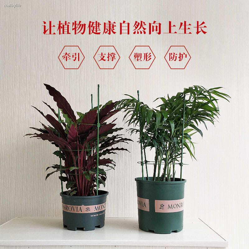 爬藤架花架園藝支架植物攀爬架鐵藝支柱室內外月季鐵線蓮葡萄花架 蝦皮購物