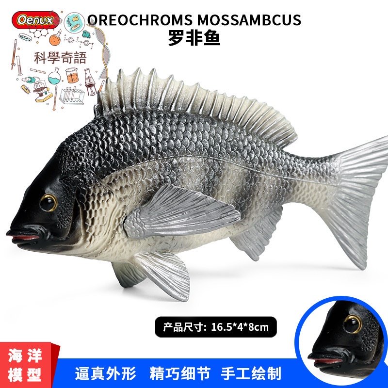 淡水魚 優惠推薦 22年3月 蝦皮購物台灣