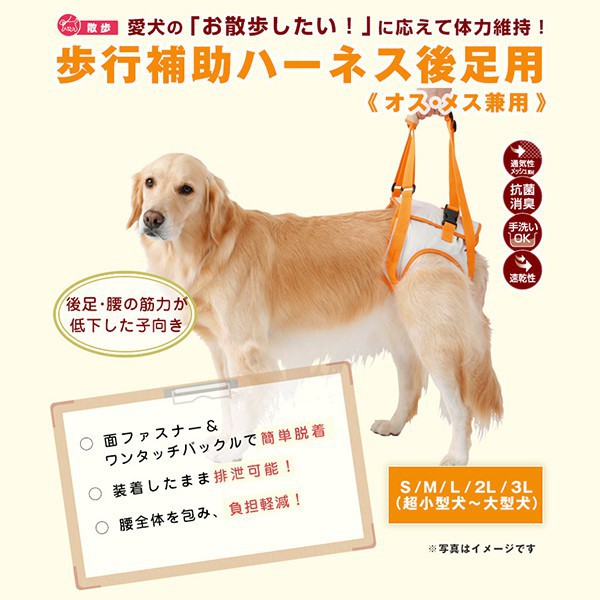 小皮球 日本petio派地奧 老犬介護用 步行輔助胸背帶 後腳用 後足復健 輔助用老犬輔助 蝦皮購物