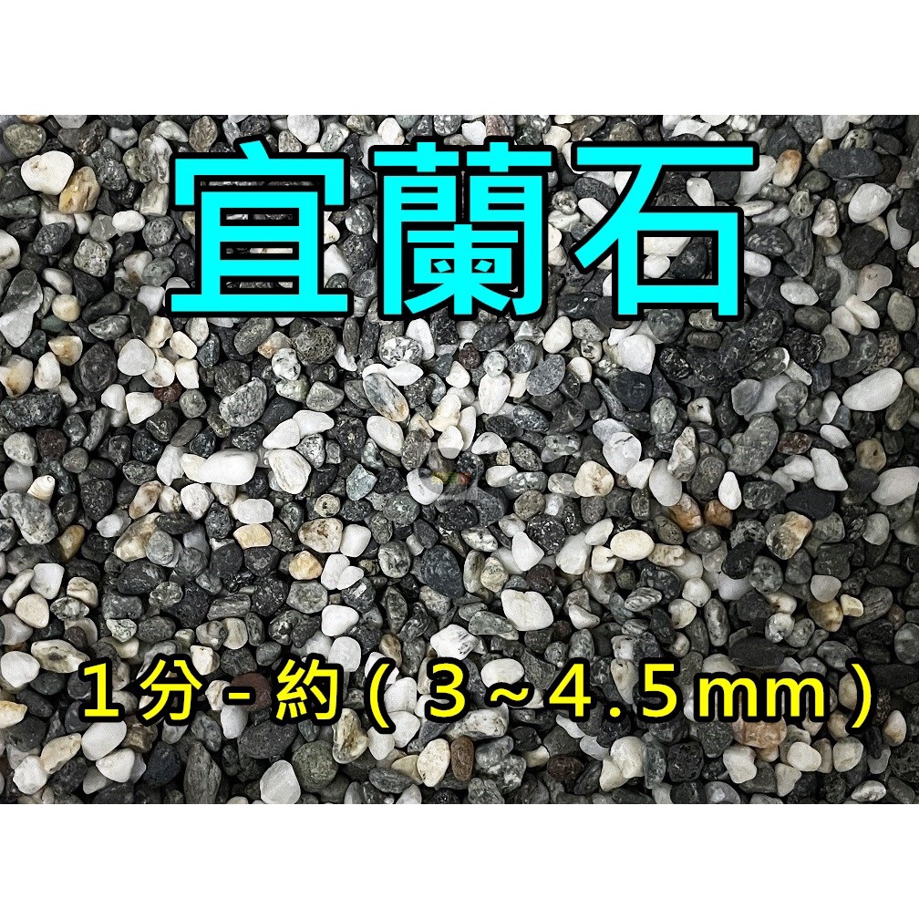 新品即決 大磯砂利 大磯砂 細目 １分 kg 底砂ろ材 納得できる割引