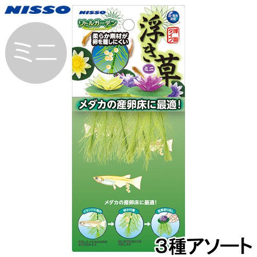 微笑的魚水族 日本nisso 三色 迷你漂浮水草 産卵床 浮草 鬥魚 躲藏 蓮花 荷花 浮萍 蝦皮購物