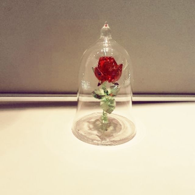 施華洛世奇迪士尼美女與野獸瓶中花 蝦皮購物