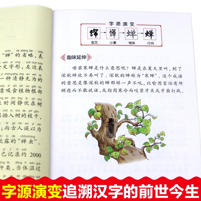 漢字里的故事彩圖注音版6冊學有故事的漢字寫給孩子的漢字演變1009 蝦皮購物