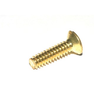 美國COOPER 面板專用純銅螺絲符合插座螺絲孔 x 1顆