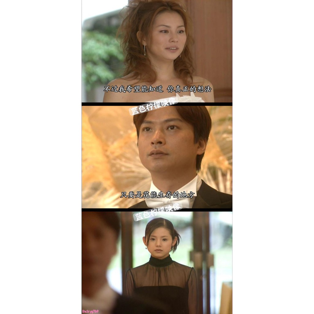 經典日劇整形美人tv 特典米倉涼子 小西真奈美 椎名桔平6dvd 蝦皮購物