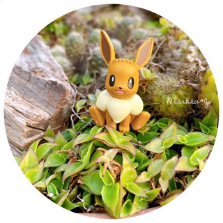 日本代購🇯🇵 神奇寶貝 Pokémon 寶可夢 皮卡丘 神奇寶貝 伊布公仔 玩具 收藏品