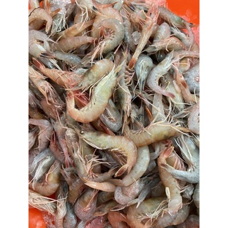 狗蝦 優惠推薦 21年11月 蝦皮購物台灣