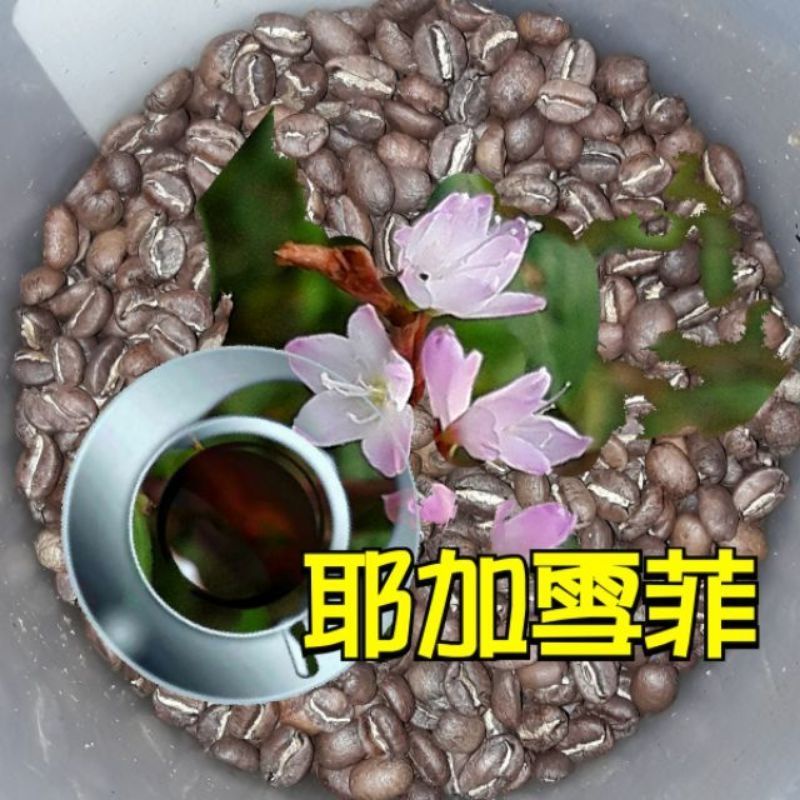 耶加雪菲 【中焙（微深）】（半磅裝，1磅裝咖啡豆）