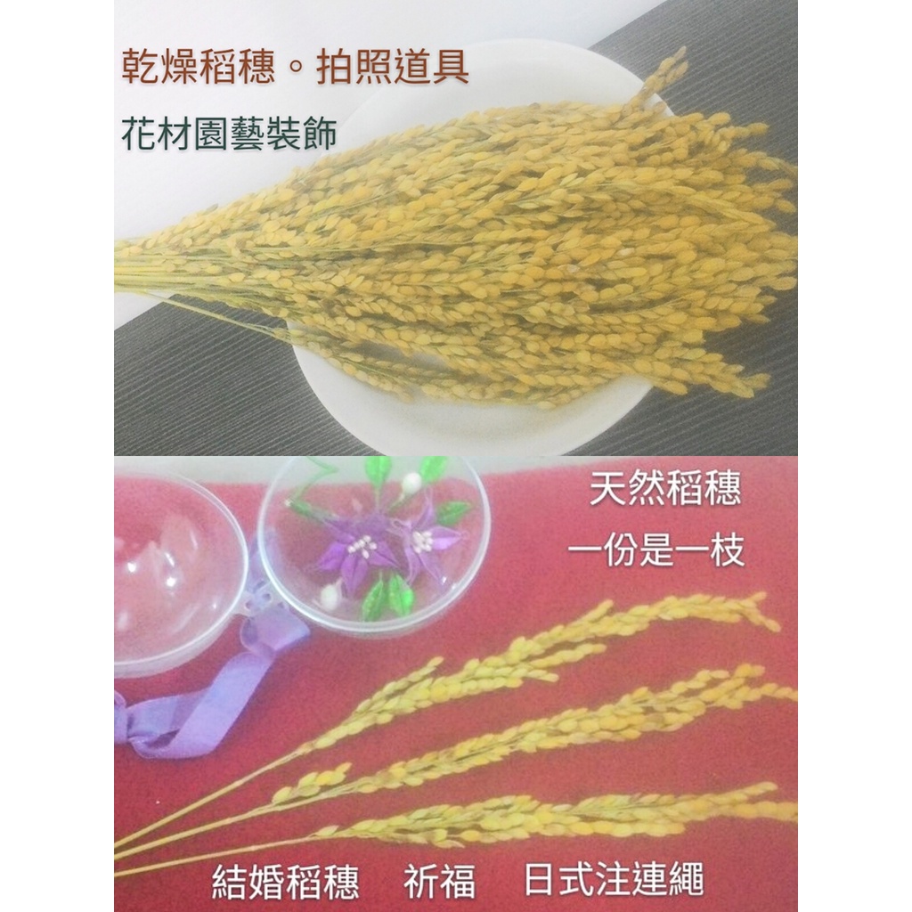 結婚花圈 Ptt Dcard討論與高評價網拍商品 21年10月 飛比價格