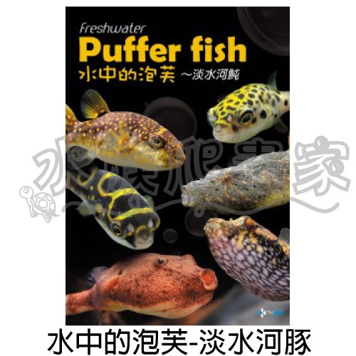 水族爬蟲家 水中的泡芙 淡水河魨河魨分類概況地理分佈飼育養缸設缸水族書籍書刊c 蝦皮購物