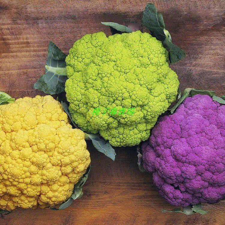 紫色花椰菜 Ptt討論與高評價網拍商品 21年8月 飛比價格