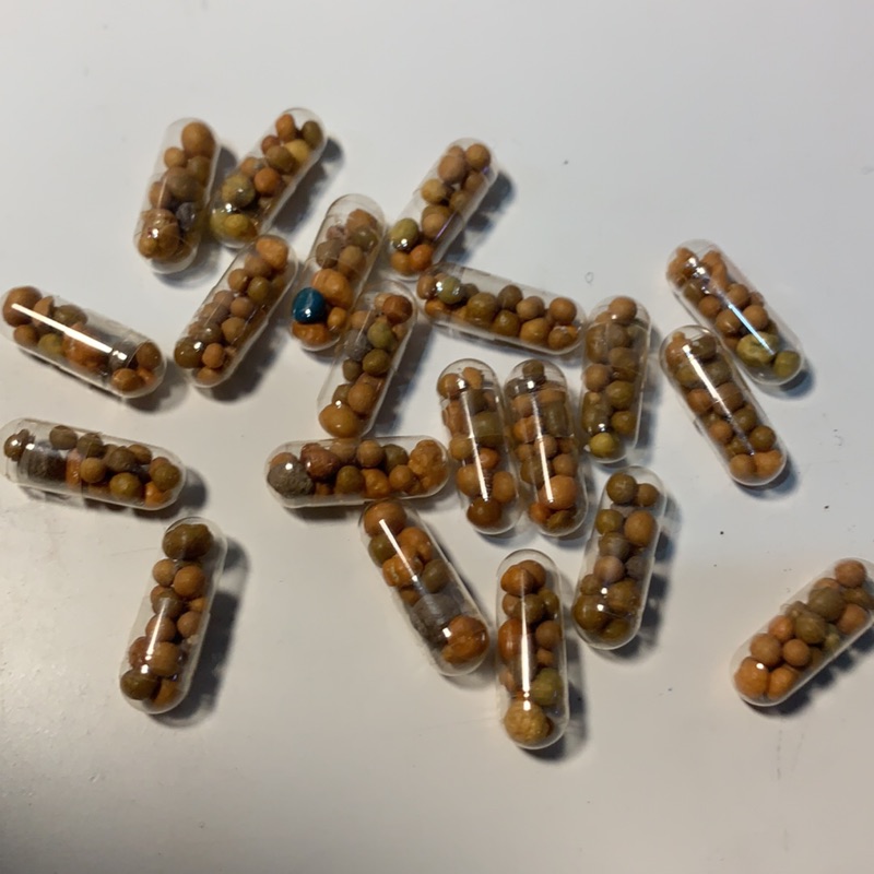 奧斯魔肥膠囊 水草追肥根肥 蝦皮購物