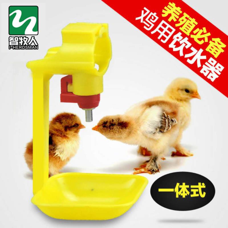 *凱悅畜牧* 智牧正品雞鋼球連體飲水器 雞用一體吊杯自動飲水器 養雞自動乳頭式飲水器