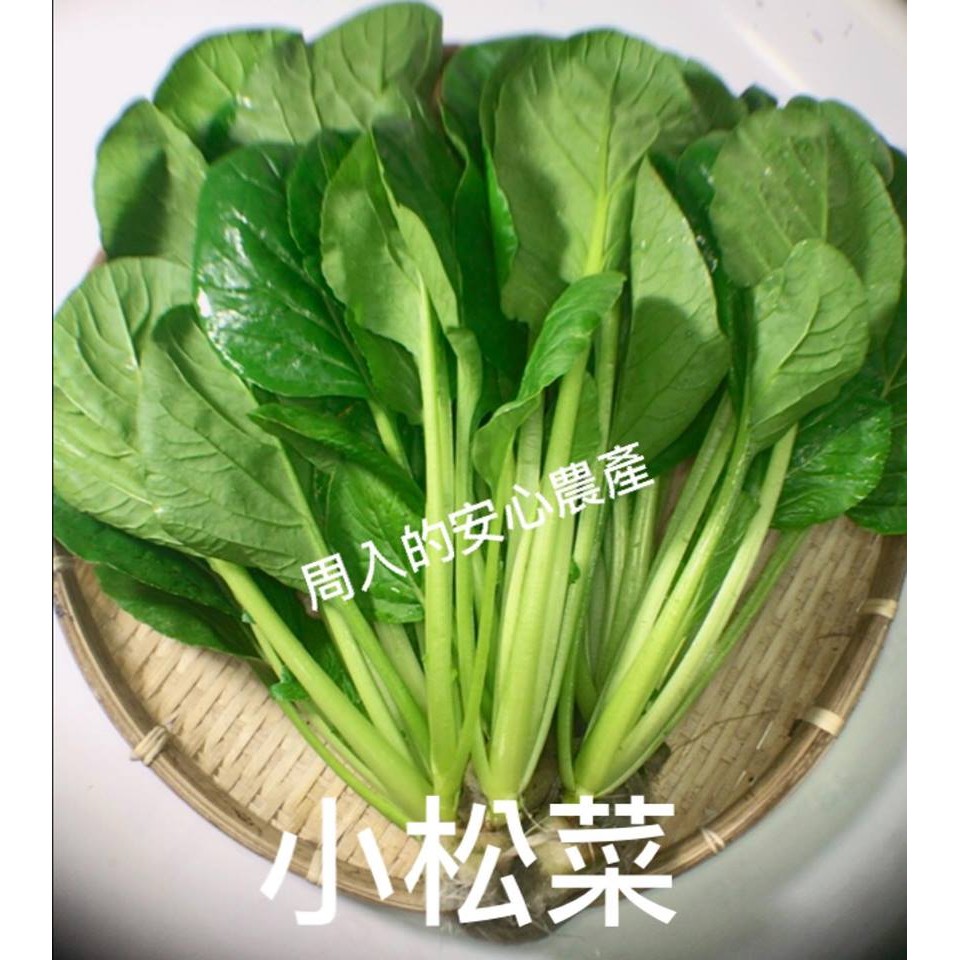 水鮮蔬 小松菜 蝦皮購物