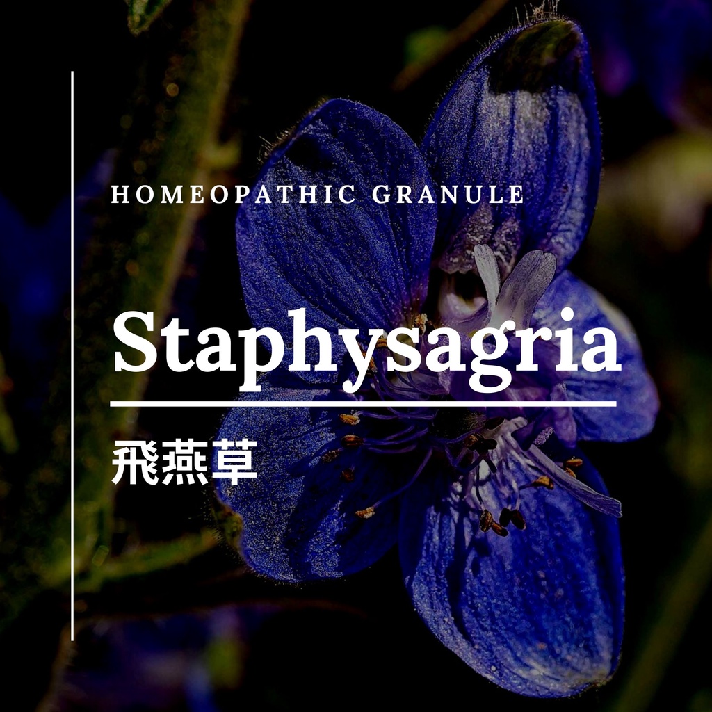 順勢糖球【飛燕草●Staphysagria】Homeopathic Granule 9克 食在自在心空間