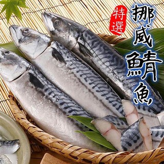 特選挪威薄鹽鯖魚(每片毛重120-140g)【海陸管家】滿額免運