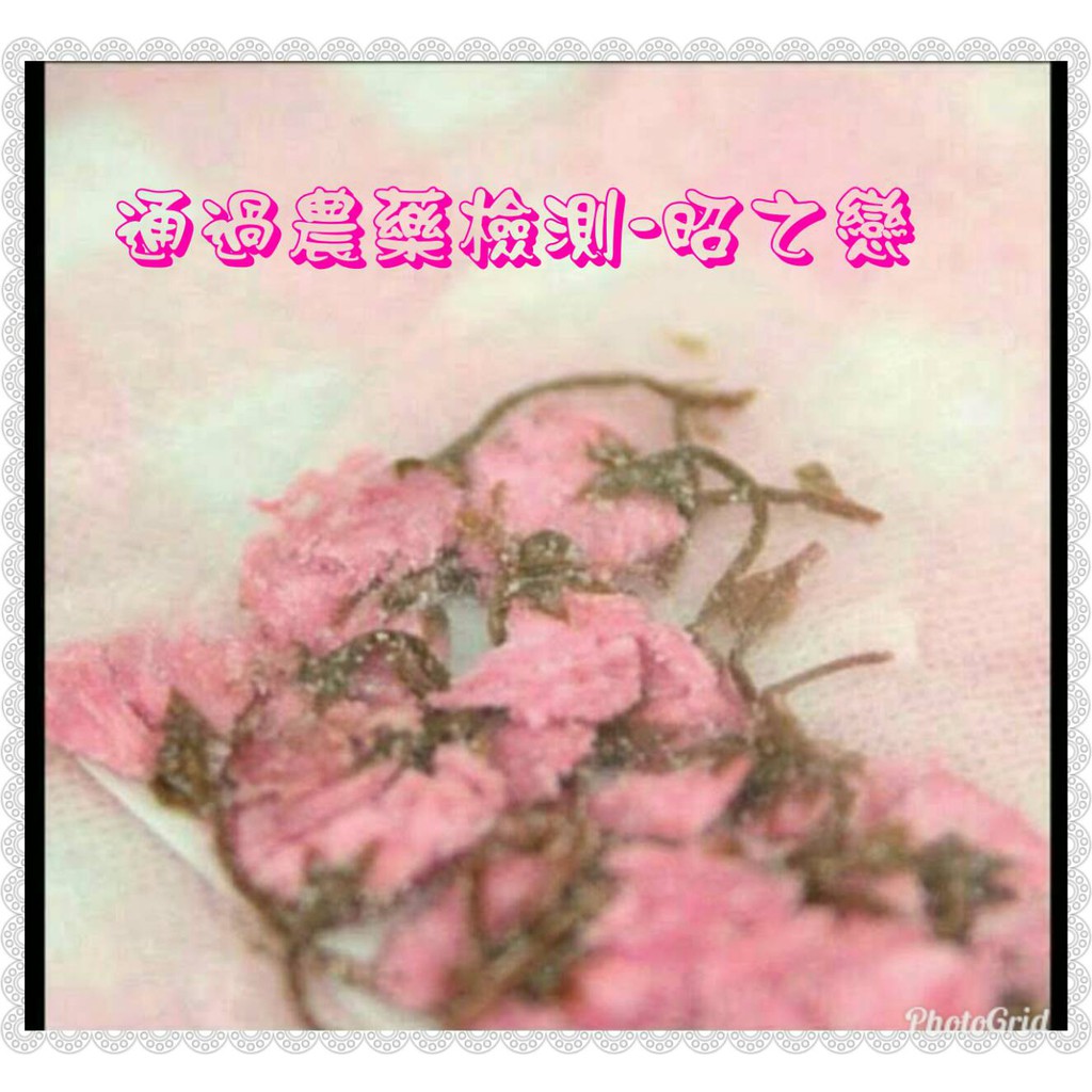櫻花 鹽漬櫻花$1.5/克(專案1000克/$1500）日本八重櫻櫻花 通過農藥檢測
