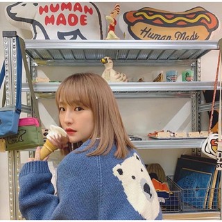 臺灣現貨 Human made HM 20AW HOT DOG POLAR BEAR CUSHION 北極熊 熱狗 抱枕