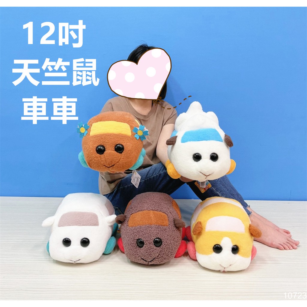 【天竺鼠車車】天竺鼠娃娃 天竺鼠玩偶 天竺鼠布偶 天竺鼠 大娃娃 娃娃 玩偶 布偶 抱枕 絨毛玩偶 天竺鼠