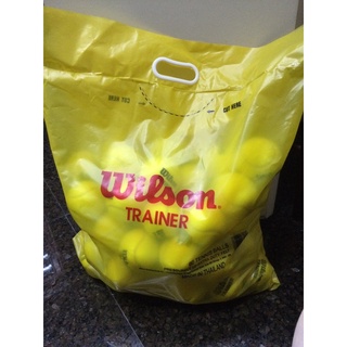 WILSON網球TRAINER無壓練習球-單顆