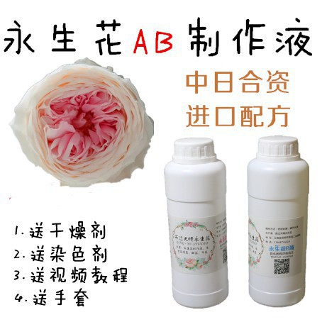 熱賣永生花製作液ab液七彩玫瑰彩虹玫瑰diy套裝免費教學脫色液染色液 蝦皮購物