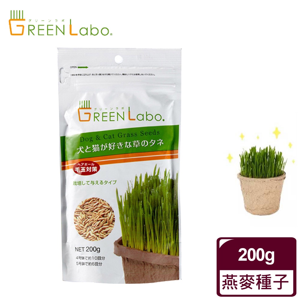 【GreenLabo】 燕麥種子200g 毛貓寵