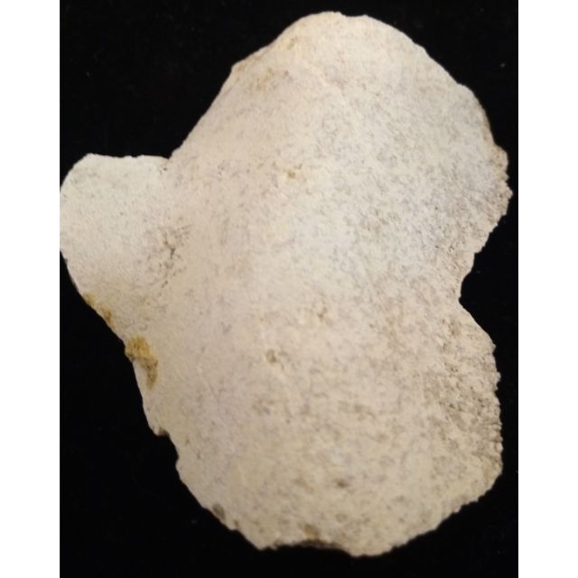 北投石原石收藏北投石 蝦皮購物