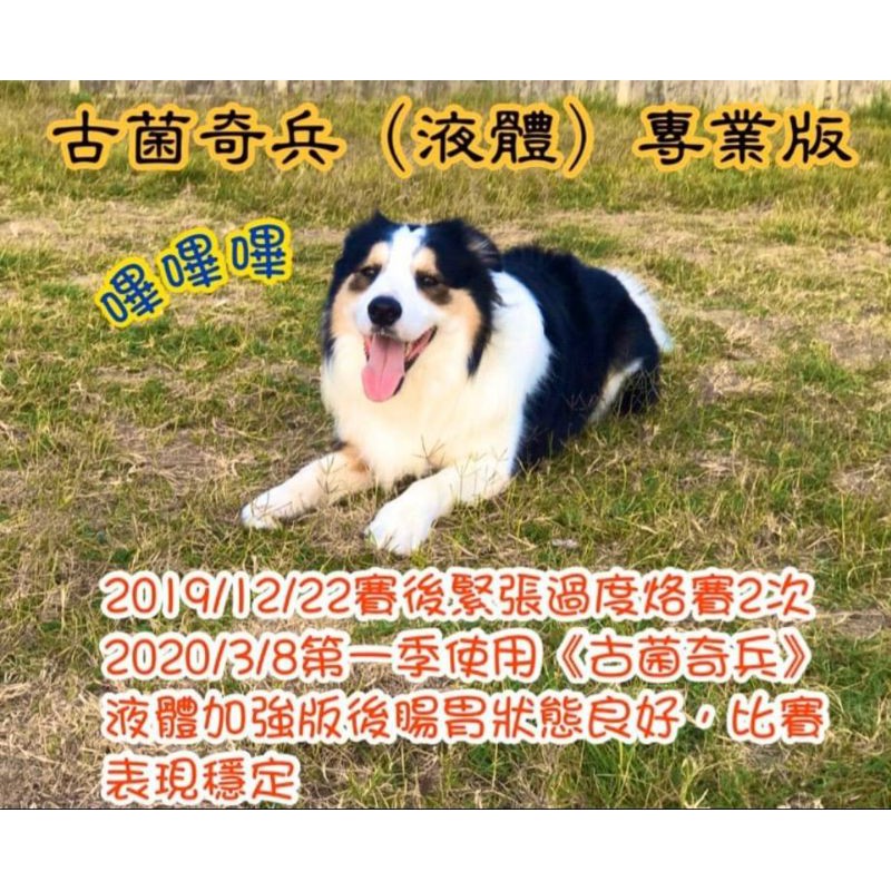 免運 古菌奇兵液體專業版 我是傳奇15ml 蝦皮購物