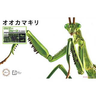 𓅓MOCHO𓅓 現貨 FUJIMI 自由研究23 EX-2 生物篇 大螳螂 透明綠 組裝模型