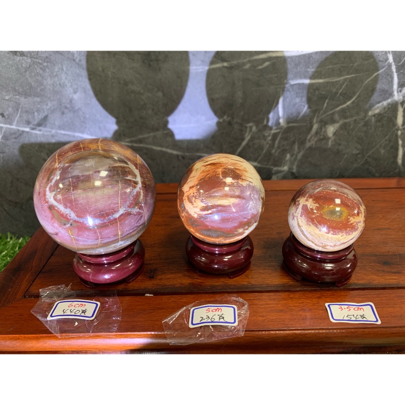 大中小一組 樹化玉球木化石球 每顆都有獨特的木紋 蝦皮 Line購物