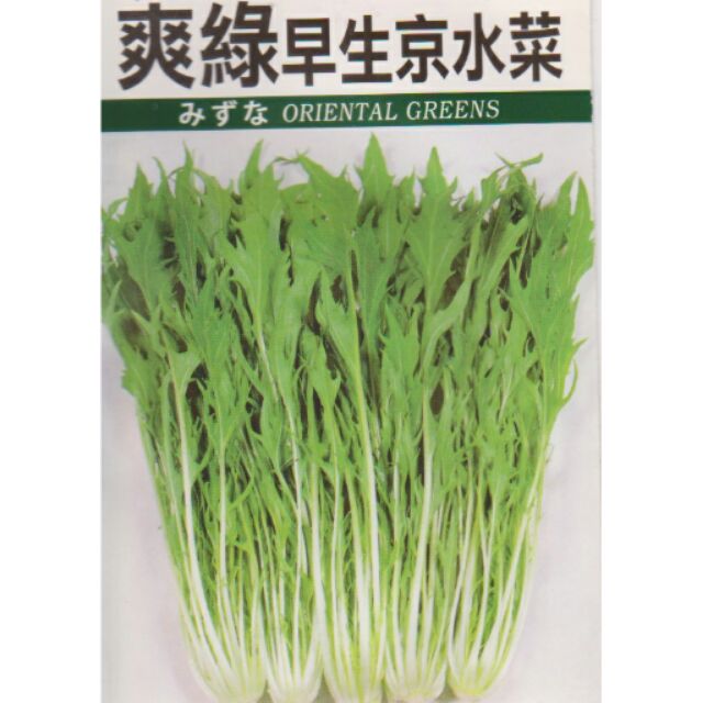 四季園爽綠早生京水菜中包裝蔬果種子 分裝包 約7公克 包 蝦皮購物