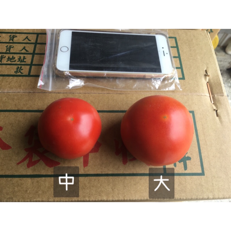 牛番茄（兩箱牛番茄）700