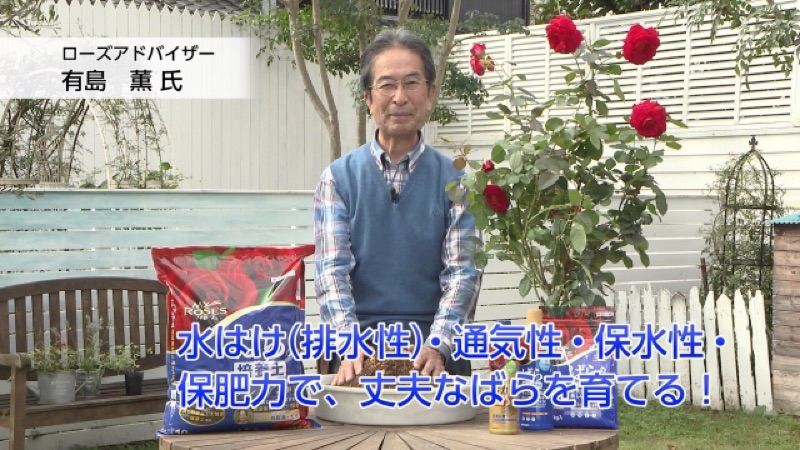 私人下標區 肥料 有機 長效 日本住友針對玫瑰 特別調配的緩效性開花元肥 有島薰氏監修 蝦皮購物