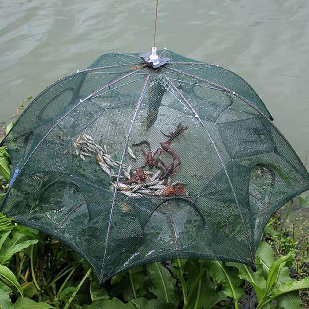 8孔捕魚籠 拍賣與ptt推薦商品 21年3月 飛比價格