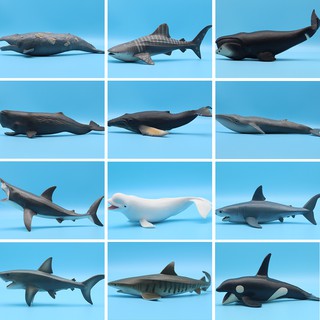 【現貨】模擬海洋動物模型 海底動物世界 實心大號海洋鯨魚鯊魚PVC軟膠模型玩具收藏擺件套裝 兒童早教認知禮物